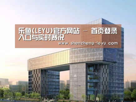 案例展示四