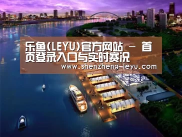 案例展示八