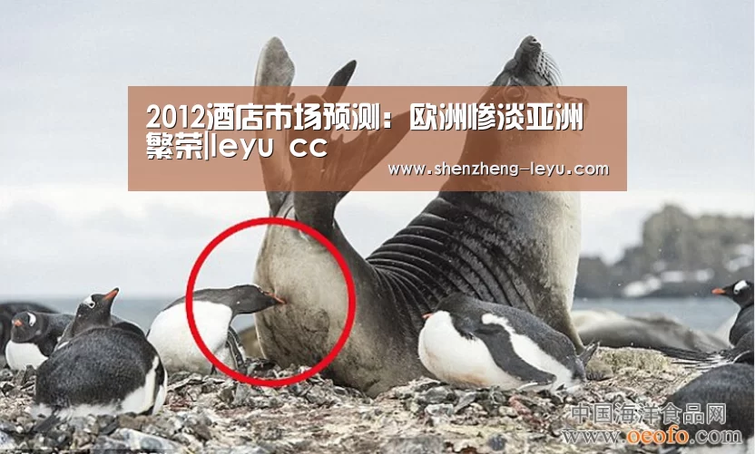 2012酒店市场预测:欧洲惨淡亚洲繁荣|leyu cc(图1) 2012酒店市场预测:欧洲惨淡亚洲繁荣|leyu cc(图1)